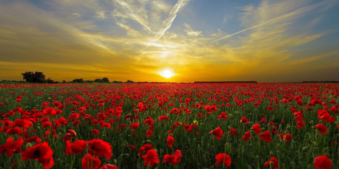 Gracias Madre Antonia por toda la vida que diste al Instituto